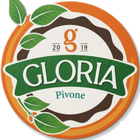 Gloria Pivone